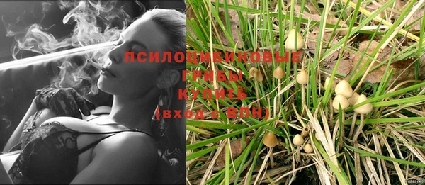 apvp Беломорск
