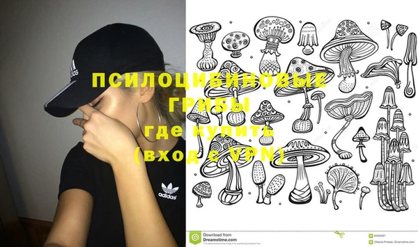бошки Богданович