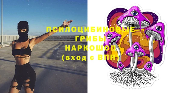 apvp Беломорск