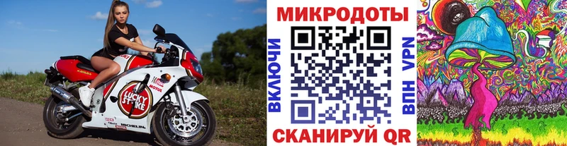 Купить  Сухой Лог  Псилоцибиновые грибы мицелий 